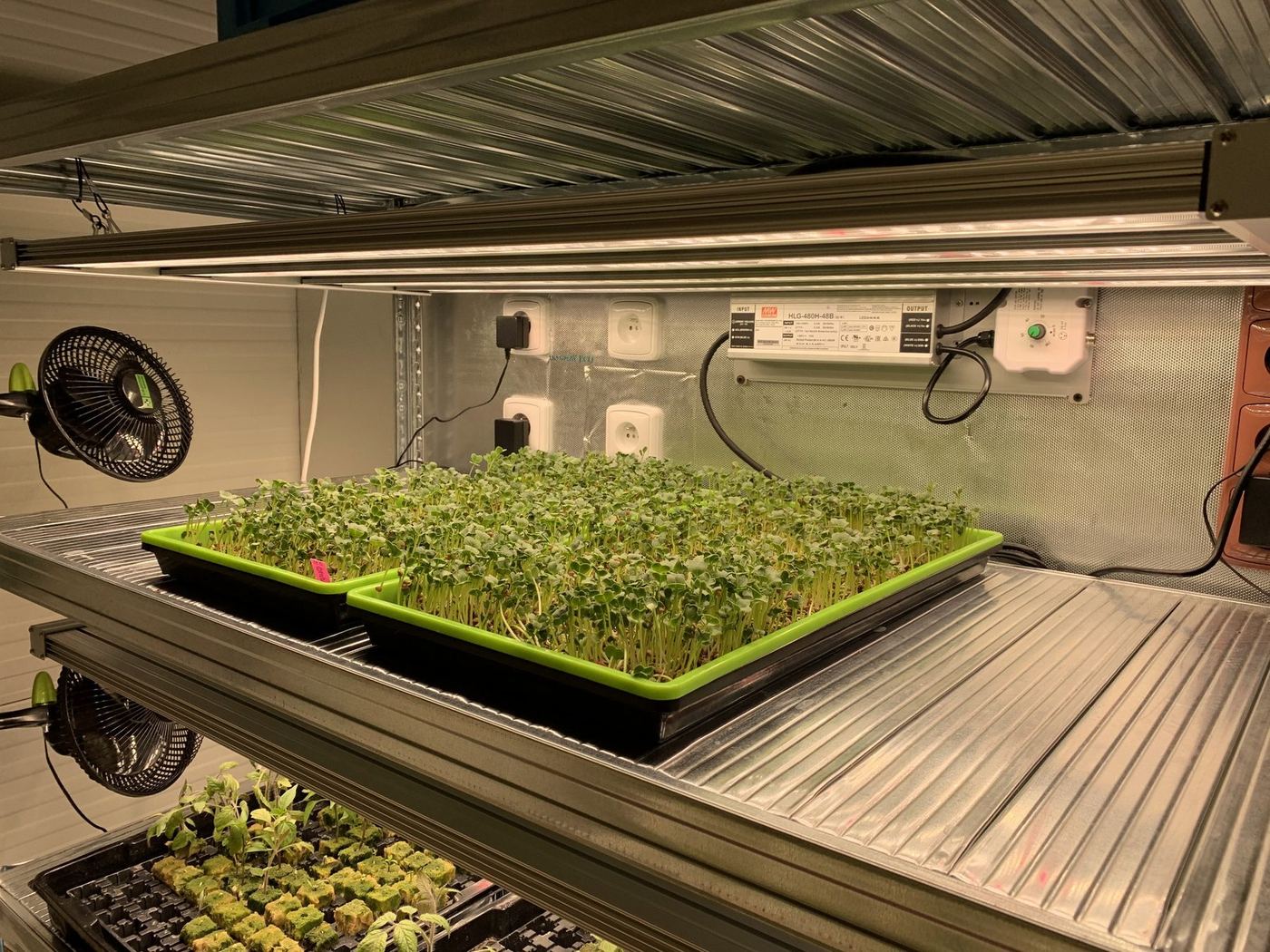 Produkční regál s několika miskami microgreens
