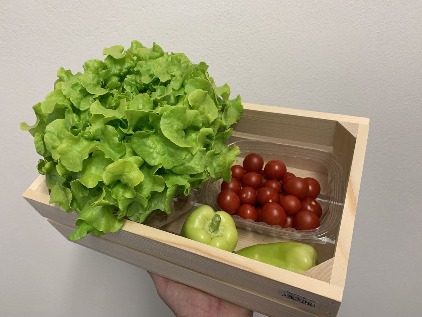Farmářská bedýnka s vlastním salátem, rajčaty a paprikou