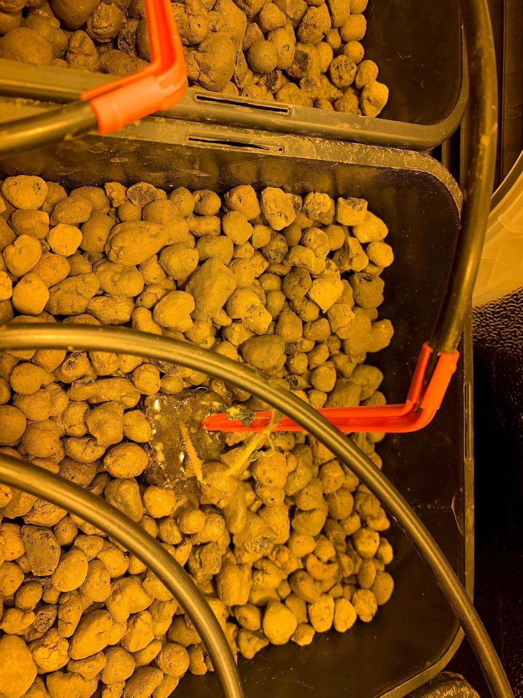 Detail prvního pokusu v systému Wilma 2